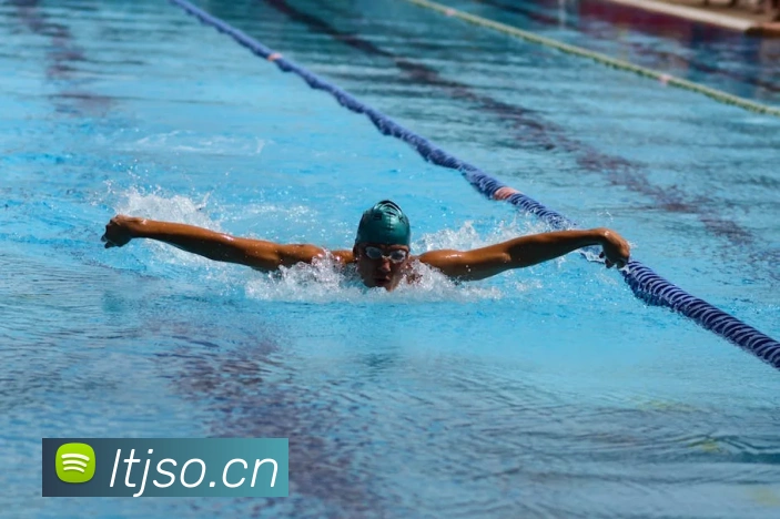 星空网首页入口服务体系